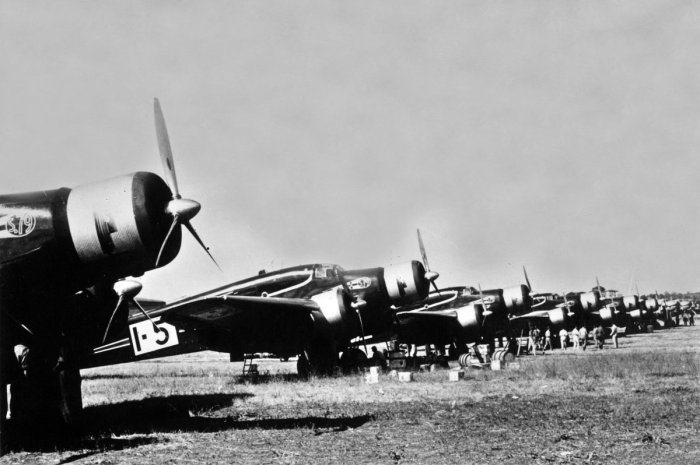 Savoia 79 sorcu verde