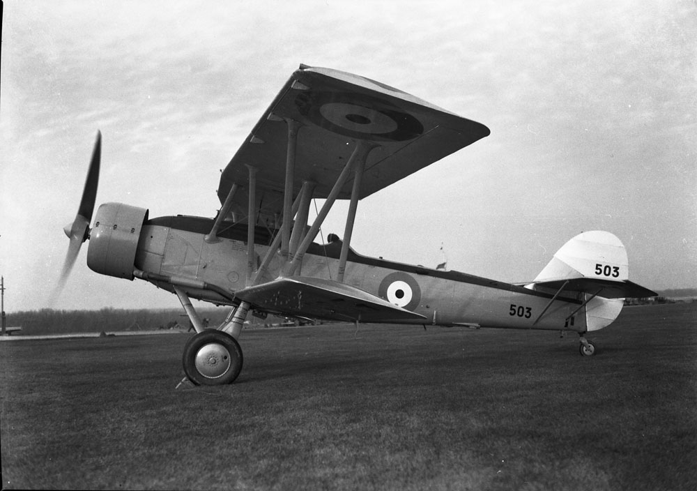 Blackburn_Shark_MIKAN_3581010 (1)