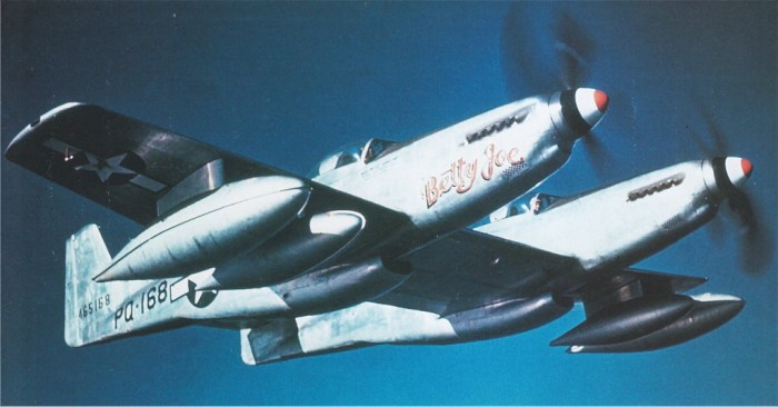 US 1944-65168 P-82B GarryPapePhoto