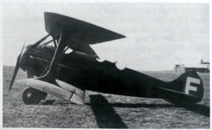 Vuela el único SPAD 37